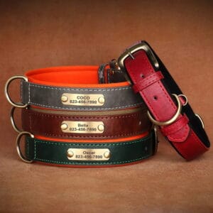 leather dog collar with name plate