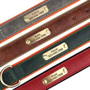 leather dog collar with name plate