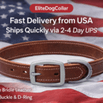 Brown Leather Dog Collar – Genuine Bridle Leather, Durable & Adjustable Collar for Dogs