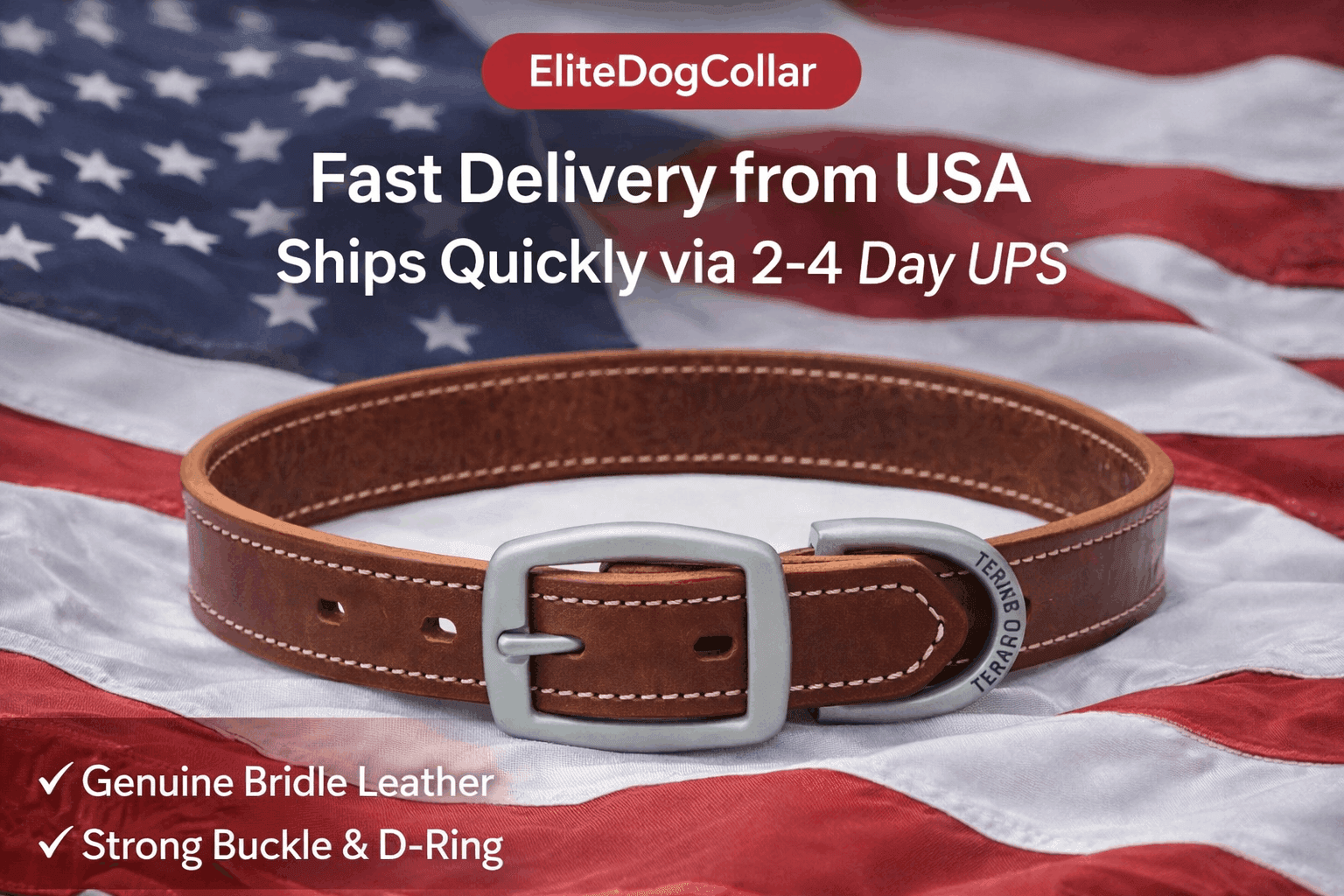 Brown leather dog collar
