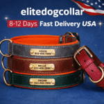 Leather Dog Collar with Name Plate – Personalized & Engraved