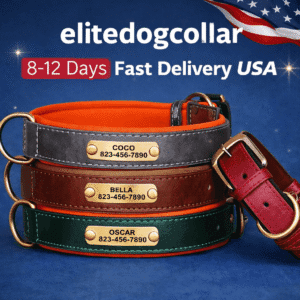 Personalized Name Plate Dog Collar