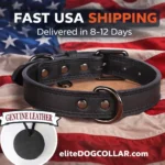 Black Leather Dog Collar – Soft, Durable & Adjustable for Everyday Use