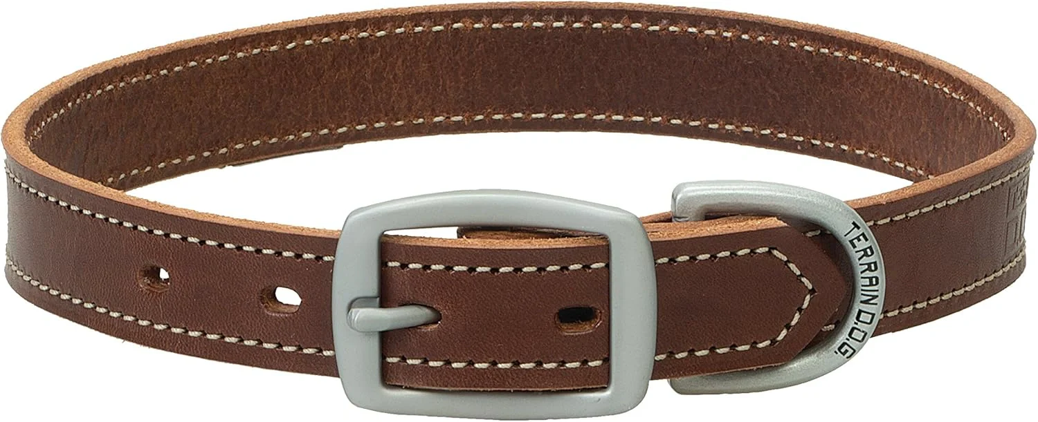 Brown leather dog collar