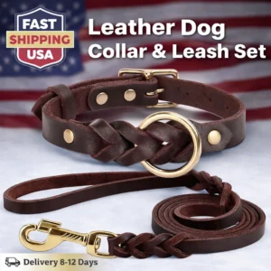 Leather Dog Collar and Leash Set – Genuine Braided Leather for Medium & Large Dogs