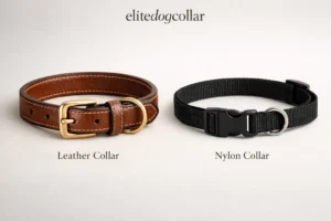 Leather vs Nylon Dog Collar