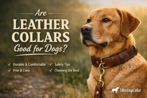 Are Leather Collars Good for Dogs