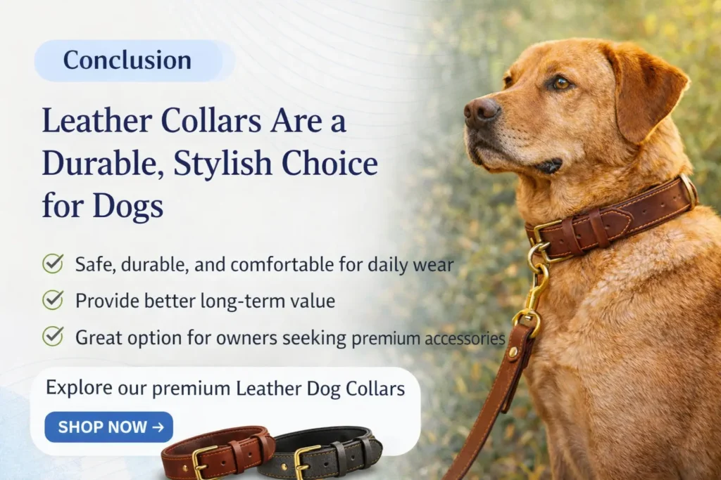 Are Leather Collars Good for Dogs
