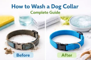 How to Wash a Dog Collar